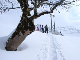 schneeschuhlaufen zum tanzboden