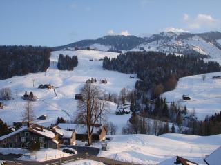 Ausblick auf Wildhaus