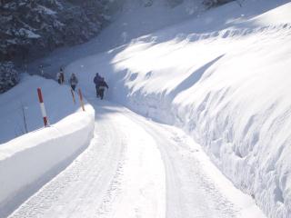 vorwärts marsch richtung spitze